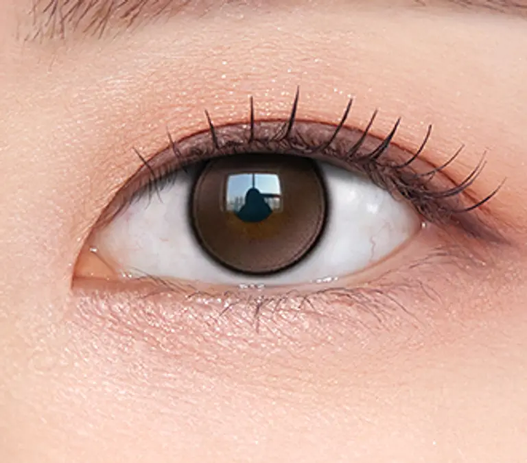 글로이티어 미니 브라운(10P)